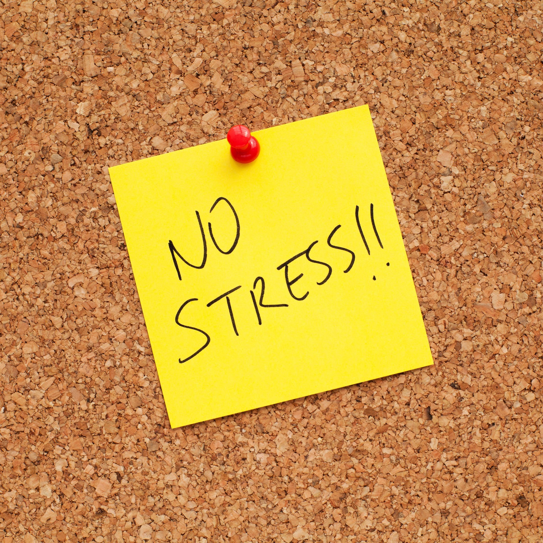 blog_image:article_openhr_1669303284637f8bf458408.jpg:end_blog_image